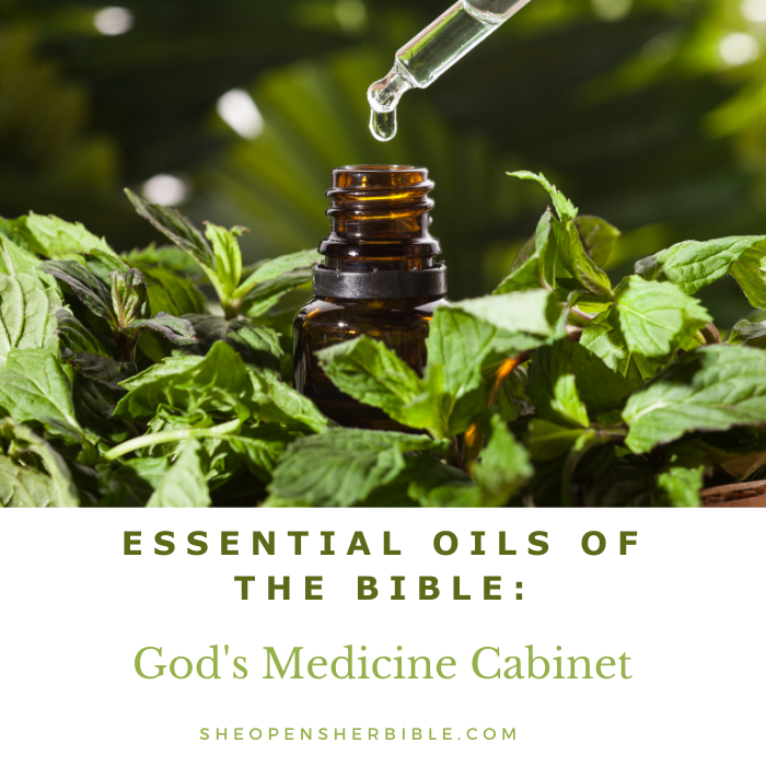 Essential Oils of the Bible eBook: Ancient Aromas, Sacred Meaning, and Faith-Filled Applications