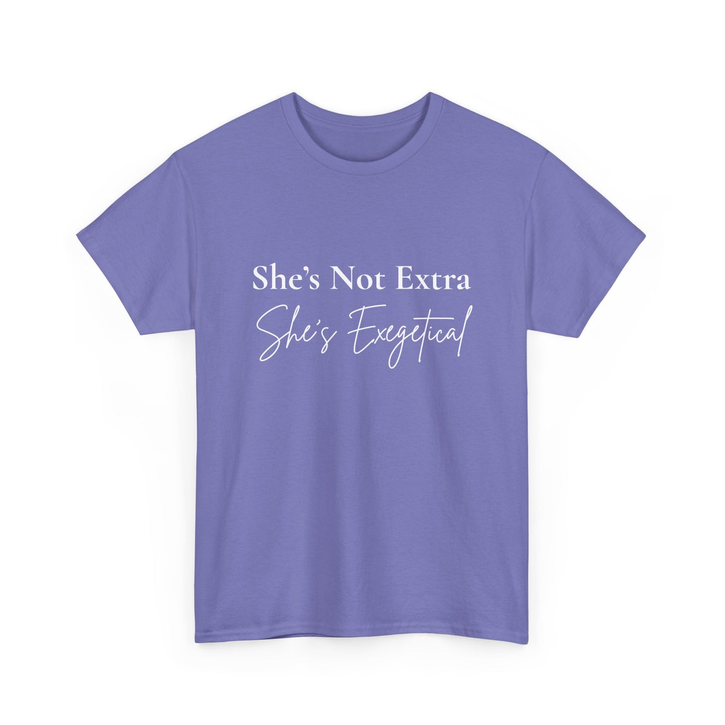 “She’s Not Extra. She’s Exegetical.” Tee – Bold Round‑Neck Statement Shirt
