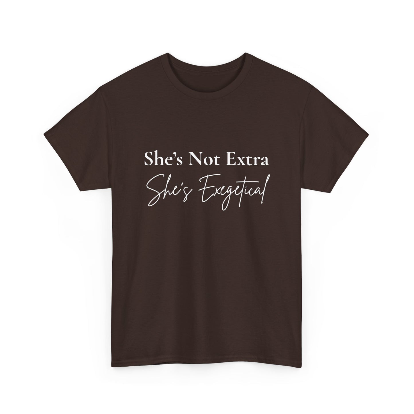 “She’s Not Extra. She’s Exegetical.” Tee – Bold Round‑Neck Statement Shirt