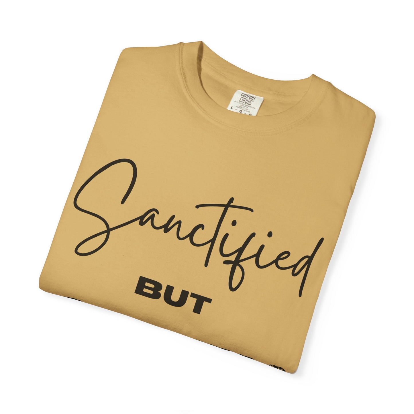 "Sanctified But Salty" Unisex T-Shirt – Funny Christian Tee for the Faithfully Feisty