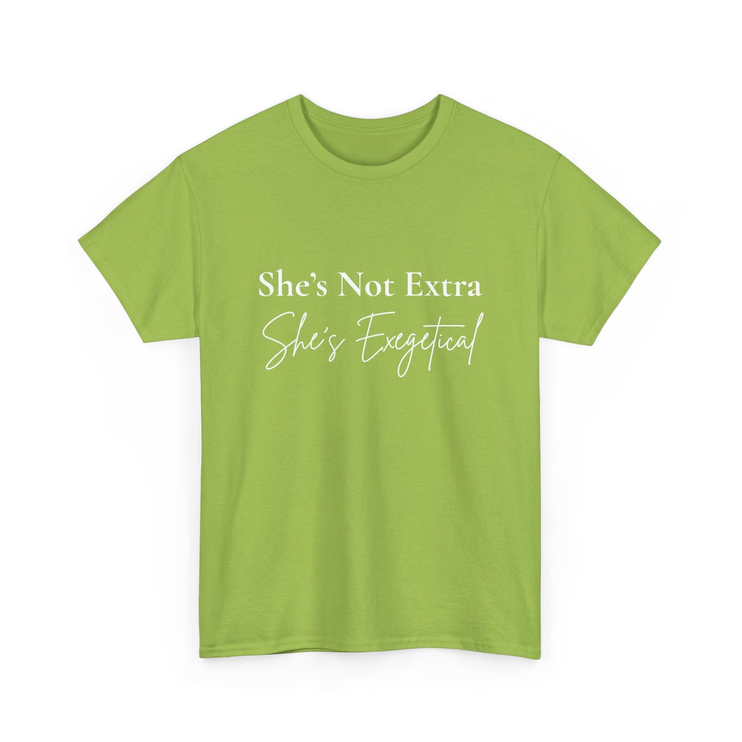 “She’s Not Extra. She’s Exegetical.” Tee – Bold Round‑Neck Statement Shirt