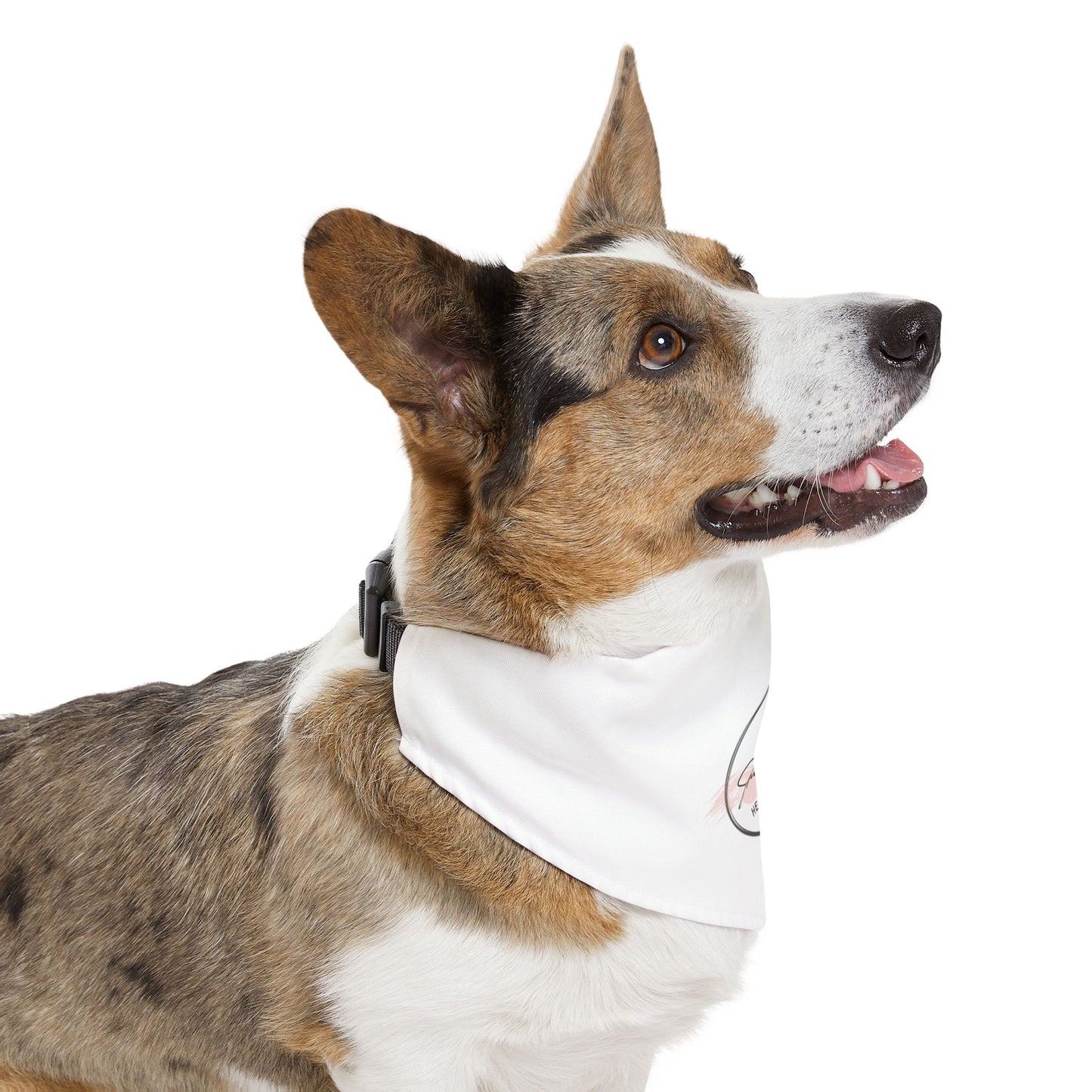 She Opens Her Bible™ Dog Bandana – Faith-Inspired Pet Accessory in 4 Sizes