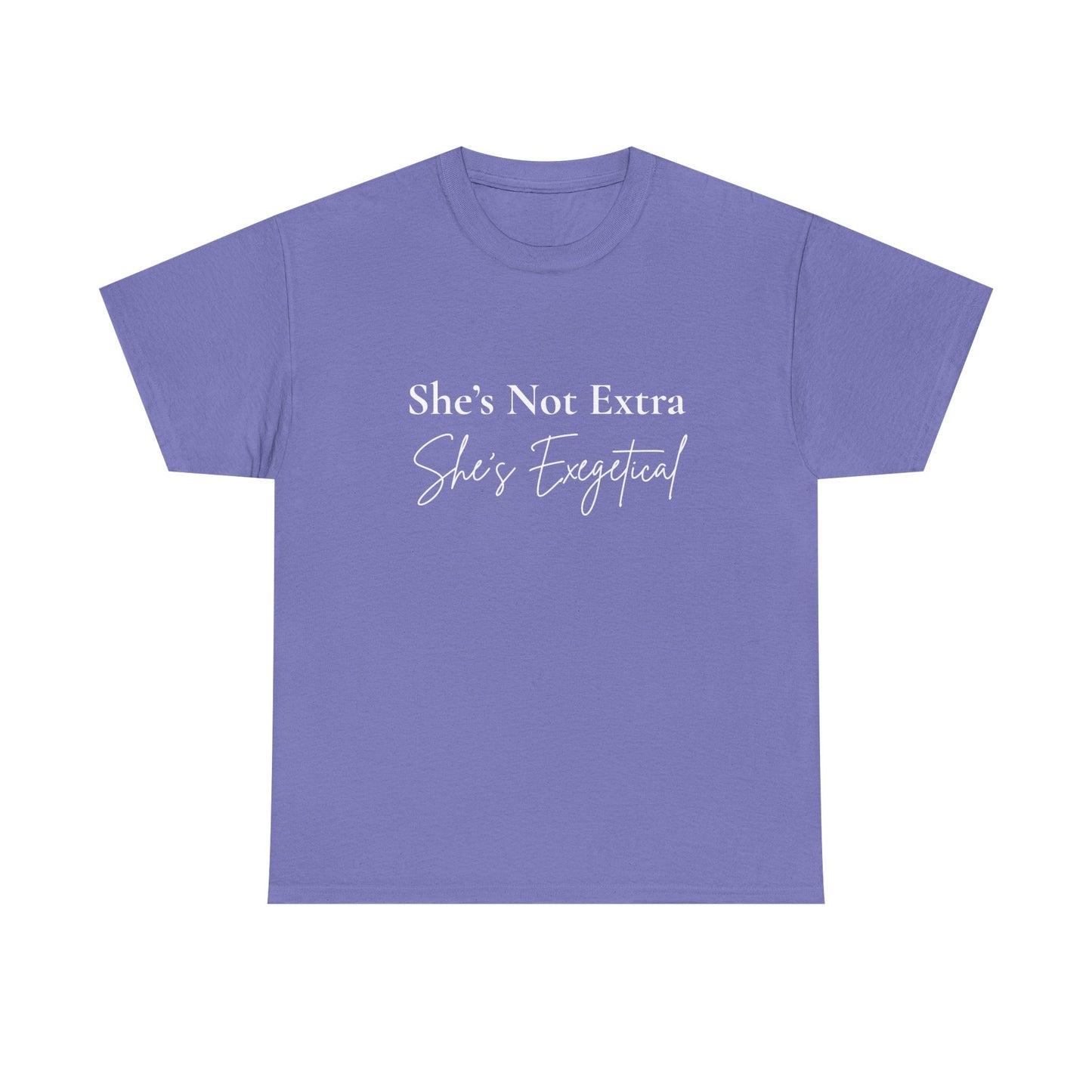 “She’s Not Extra. She’s Exegetical.” Tee – Bold Round‑Neck Statement Shirt