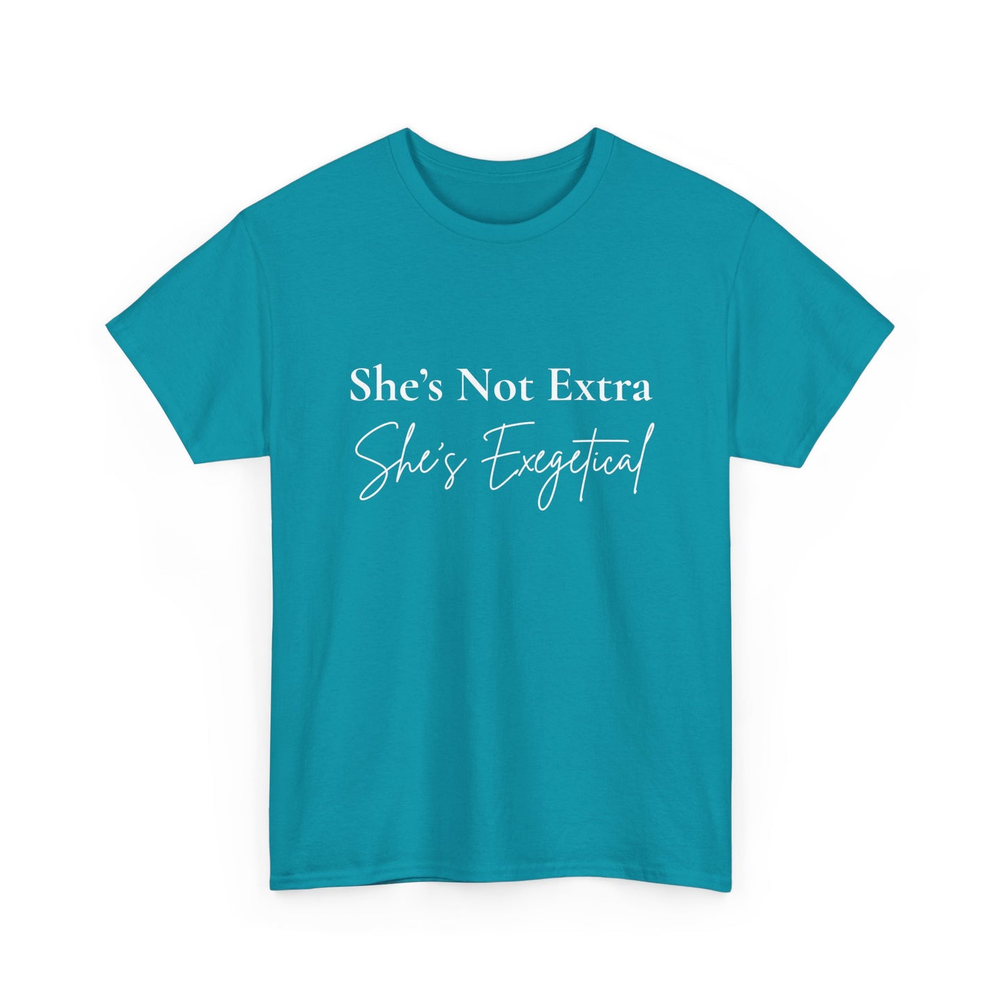 “She’s Not Extra. She’s Exegetical.” Tee – Bold Round‑Neck Statement Shirt