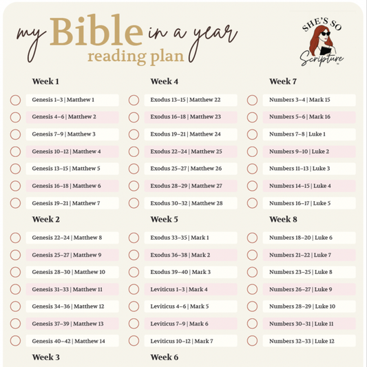 Bible in a Year Discipleship Workbook | Reading Plan + Kingdom Life Scripture Guide