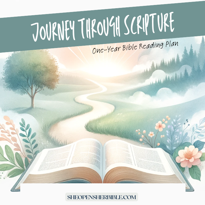 One Year Journey Through Scripture