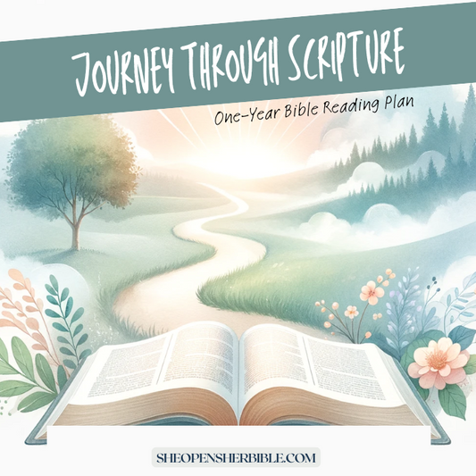One Year Journey Through Scripture