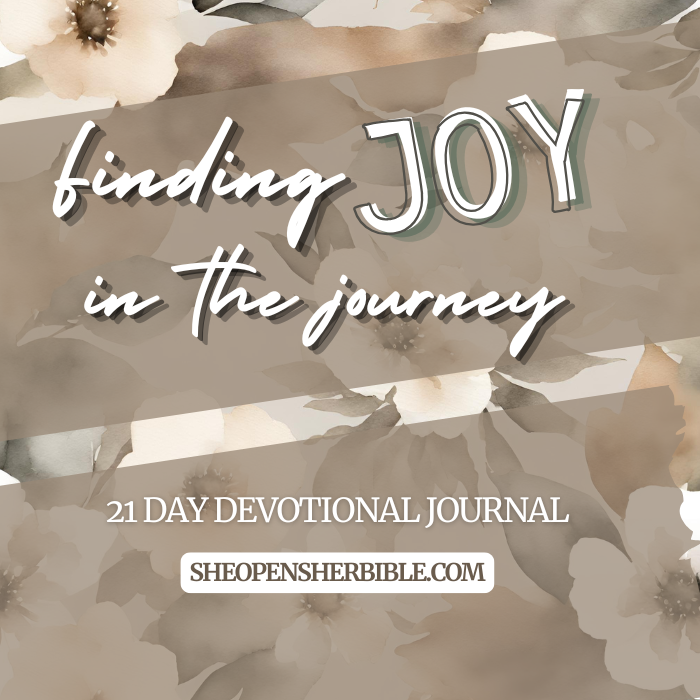 Finding Joy in the Journey | 21-Day Devotional & Journal for Christian Women