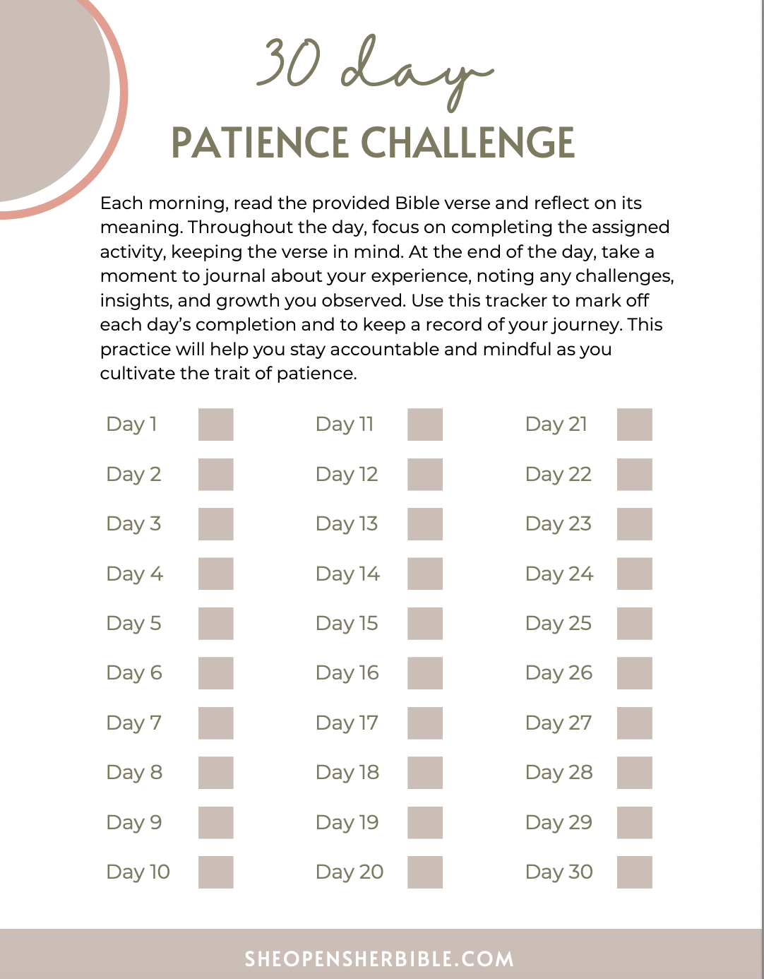 Seize the Day Bible Study Journal